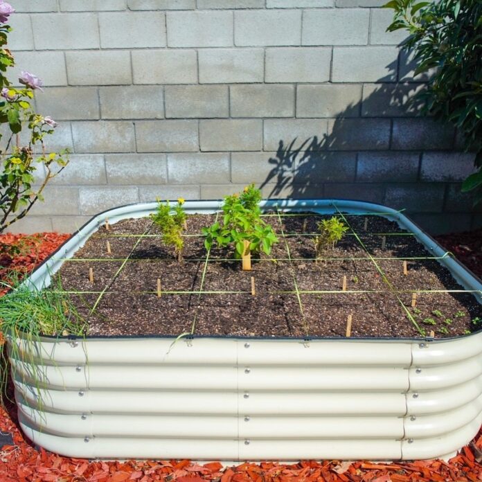 galvanized metal raised garden beds